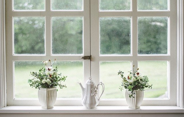 Flowers next to a window.