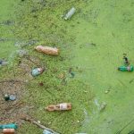 Eco-Friendly Home Renovation in Huntsville A Guide to Sustainable Waste Management