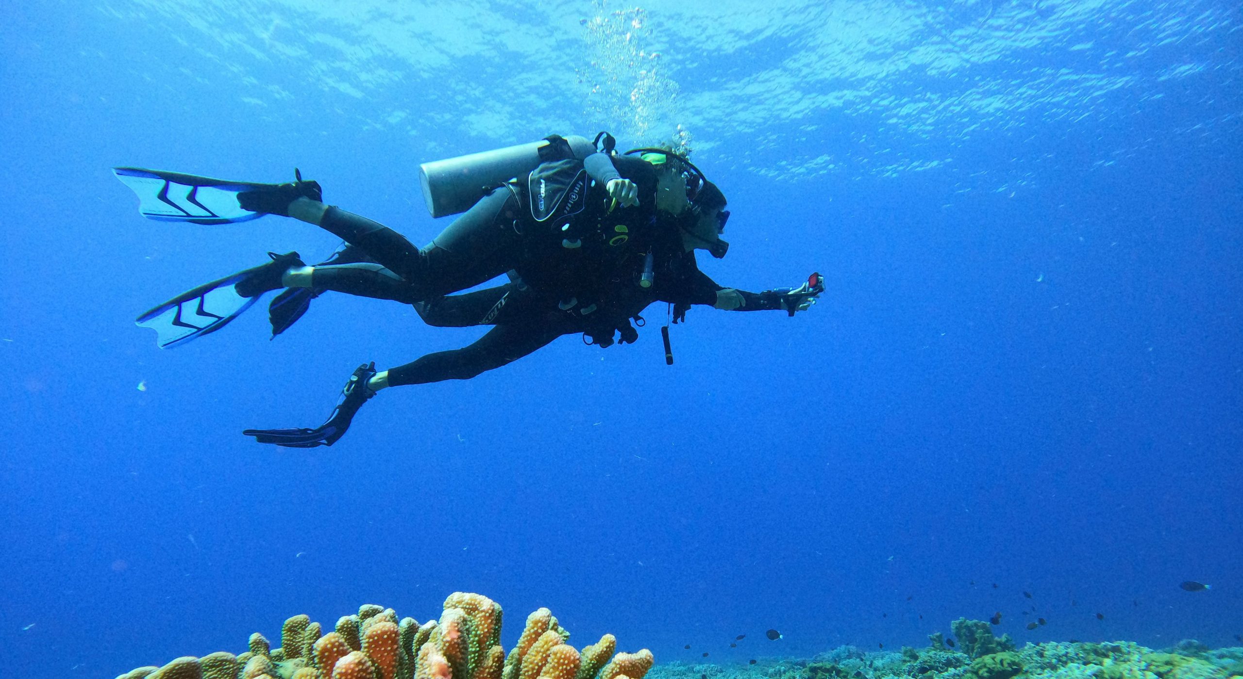 Heather Winfield and David Lieber Diving in Cozumel