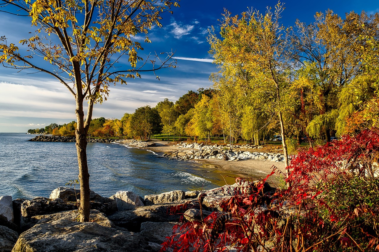 Itrees and the shore in spring in Ontario, Canada