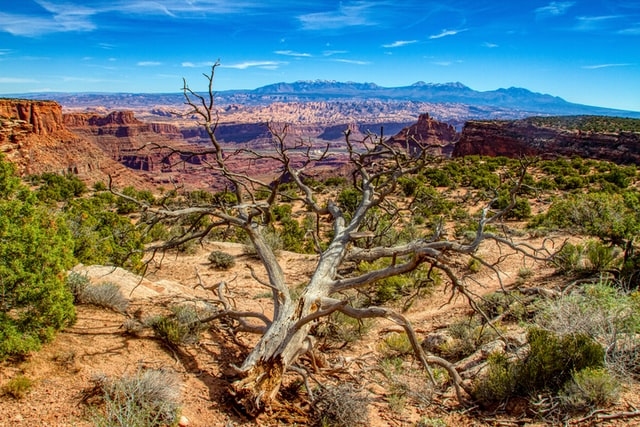 utah landscape that shown for land investmets