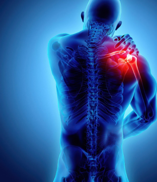 Shoulder assessment