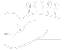 SVG Icon